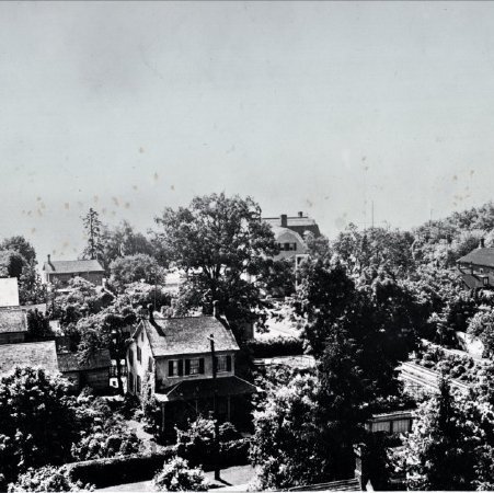 View from the Tower of St. Judes Anglican Church