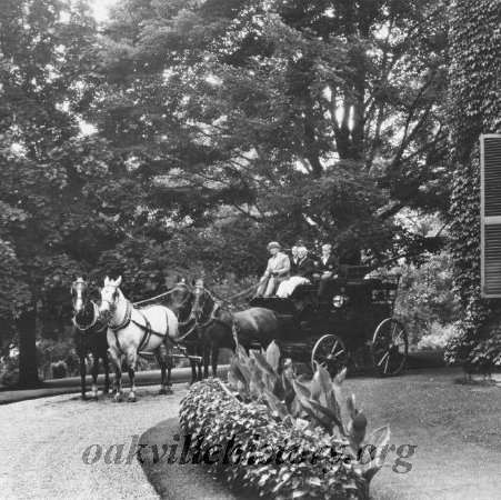 WS Davis on a carriage